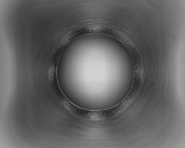 X0000113070660200909041059