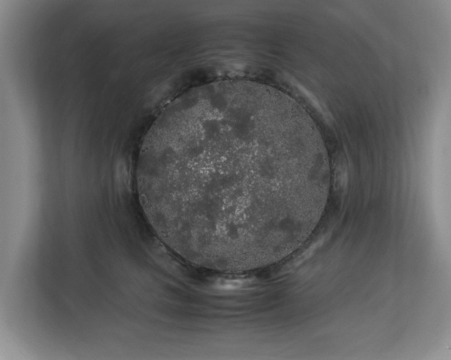 X0000113070661200909041059