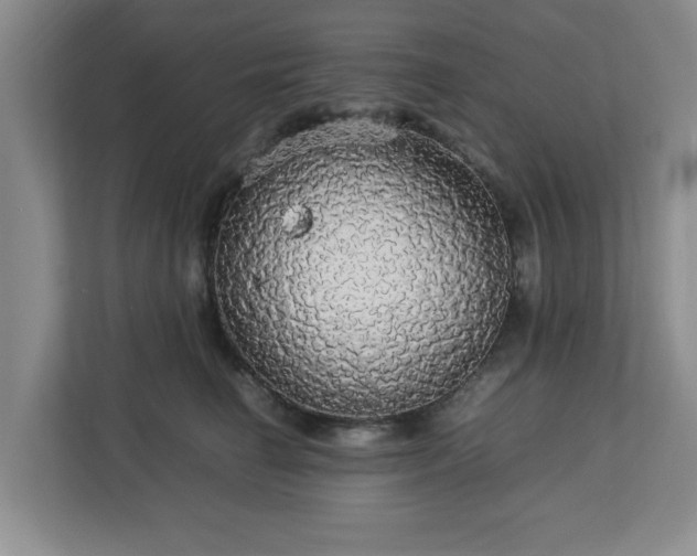 X0000113070662200909041059