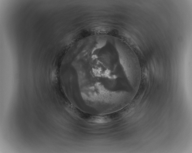 X0000113070663200909041059