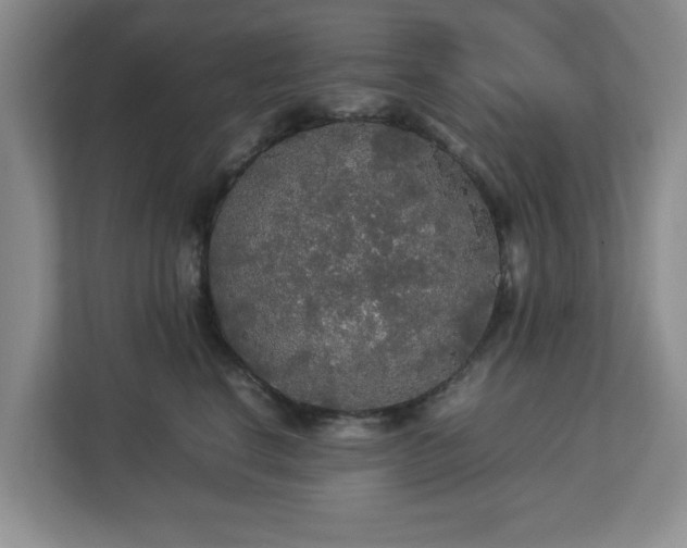 X0000113070664200909041059