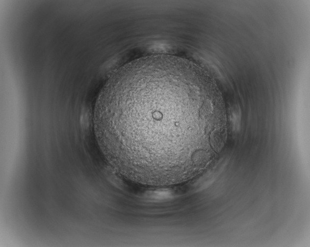 X0000113070665200909041059