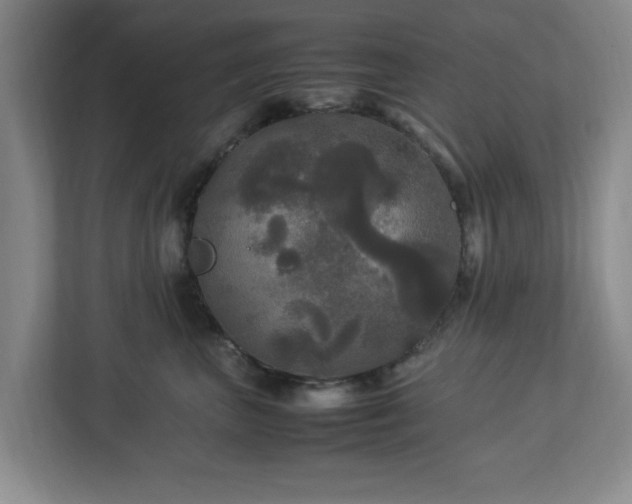 X0000113070667200909041059