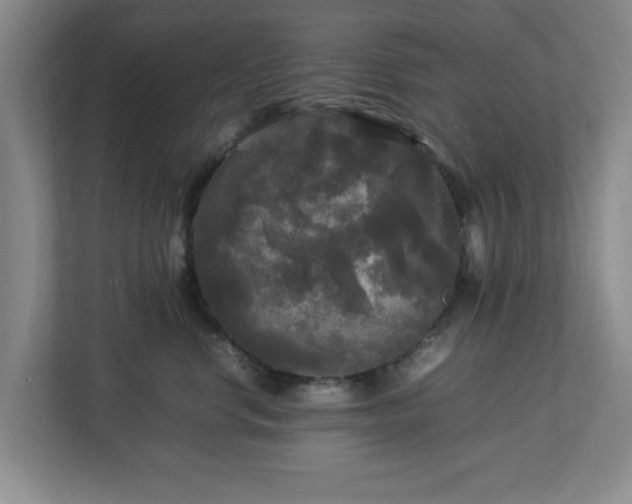 X0000113070668200909041059