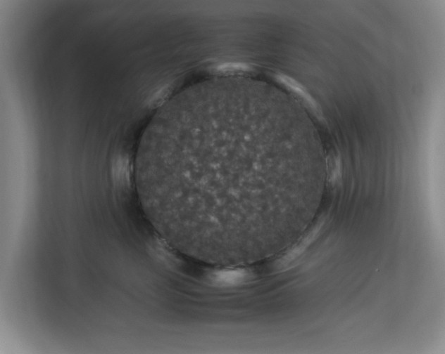 X0000113070669200909041059