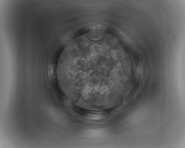 X0000113070671200909041059