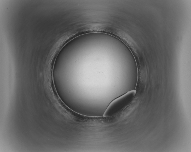 X0000113070673200909041058