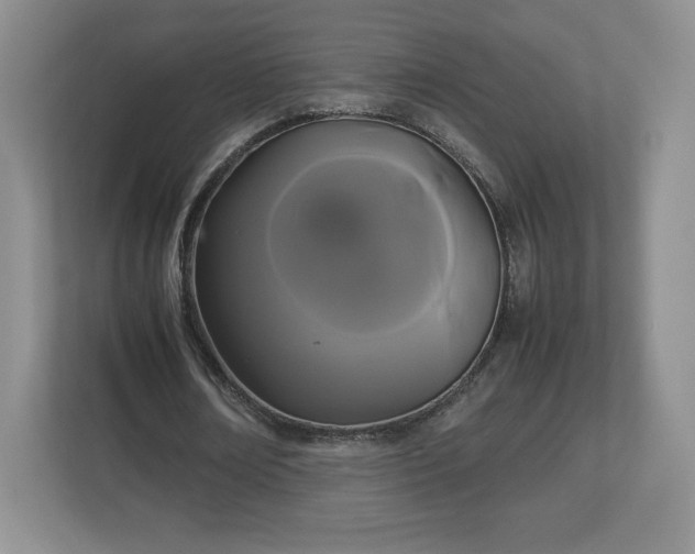 X0000113070674200909041058