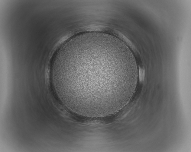 X0000113070675200909041058