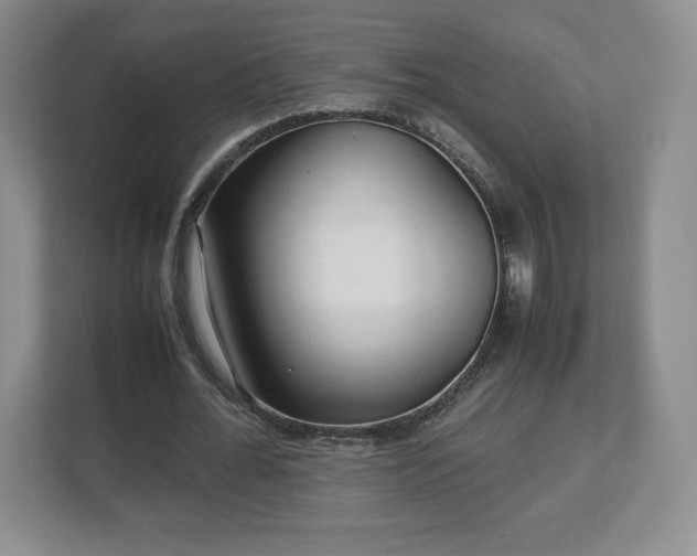 X0000113070676200909041058