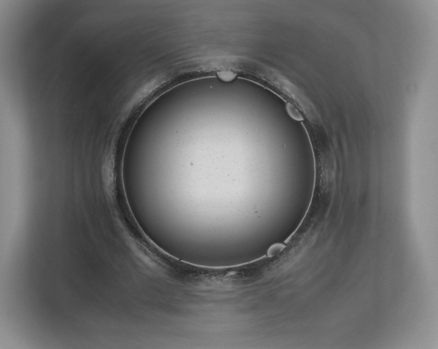 X0000113070677200909041058