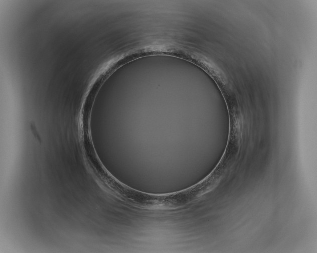 X0000113070678200909041058