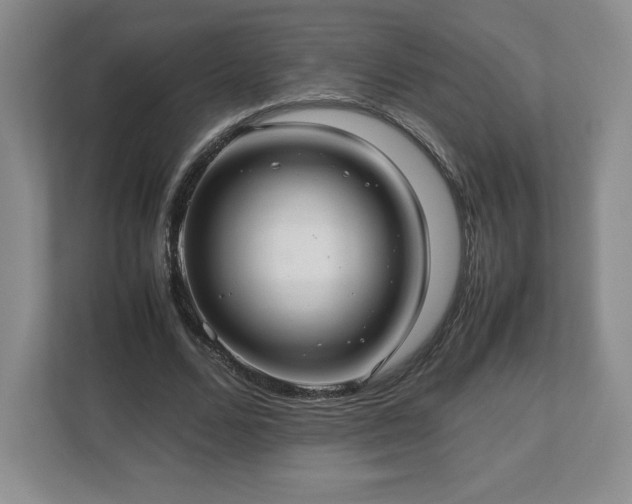 X0000113070680200909041058