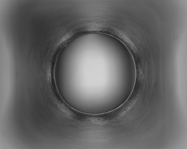 X0000113070681200909041058