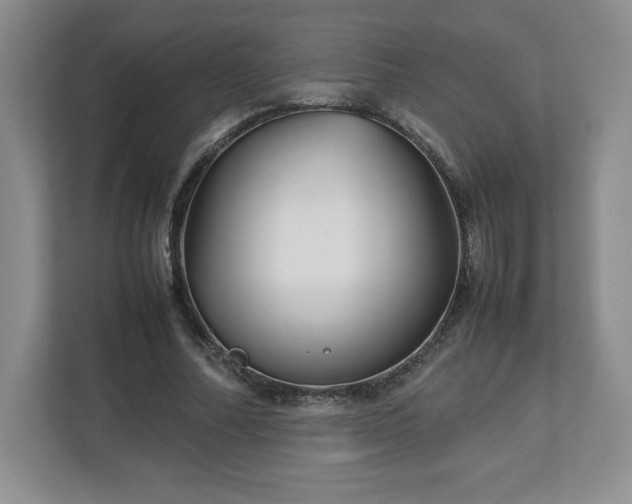 X0000113070682200909041058