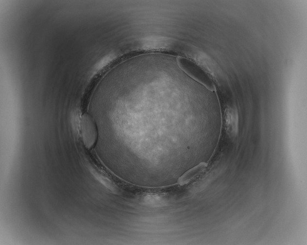 X0000113070684200909041058