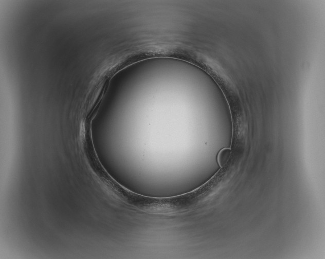 X0000113070685200909041058