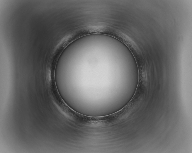 X0000113070686200909041058