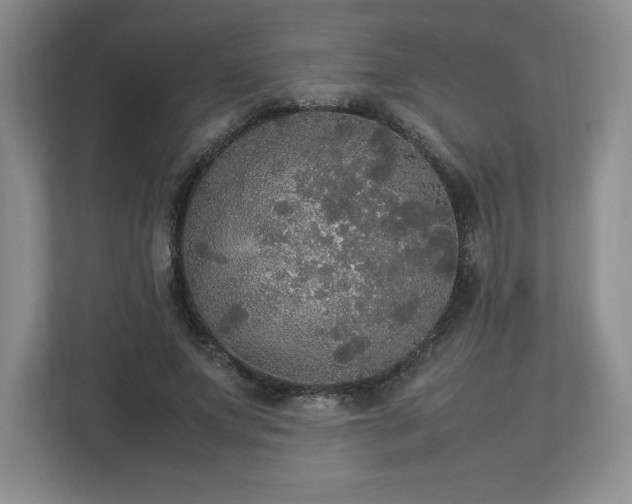 X0000113070687200909041058