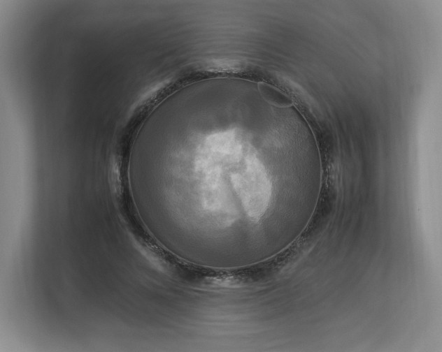 X0000113070688200909041058