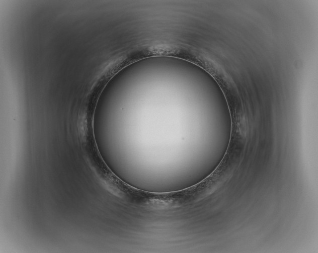 X0000113070690200909041058