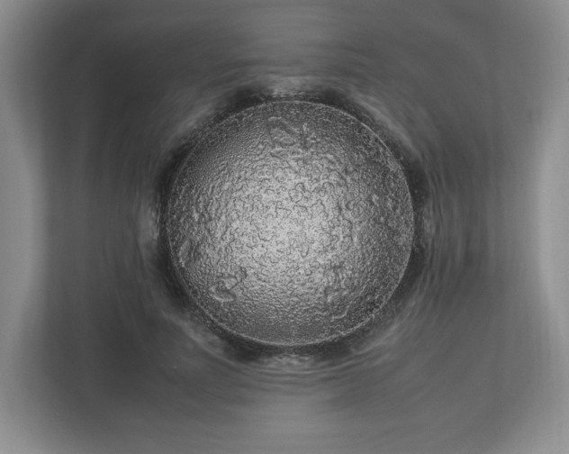 X0000113070691200909041058