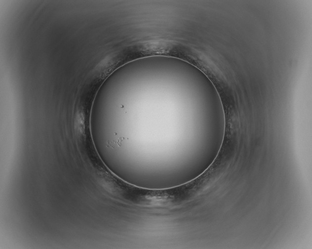 X0000113070693200909041058