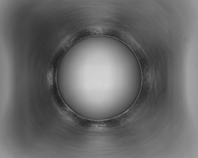 X0000113070694200909041058