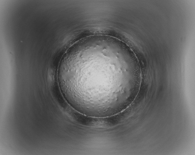 X0000113070695200909041058