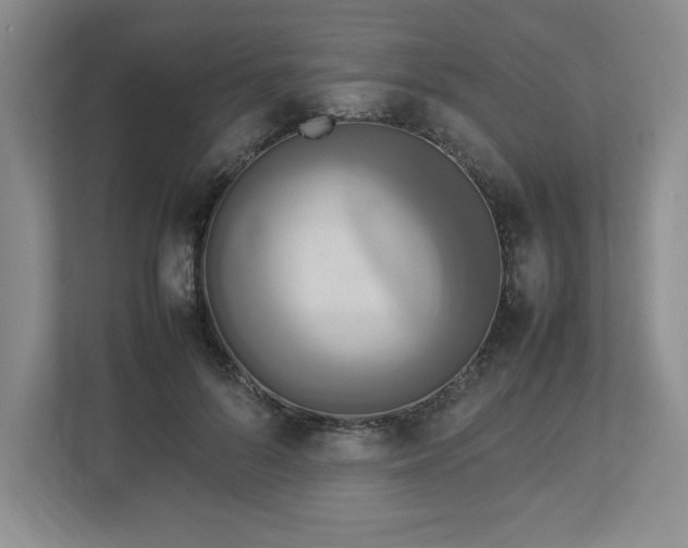 X0000113070696200909041058