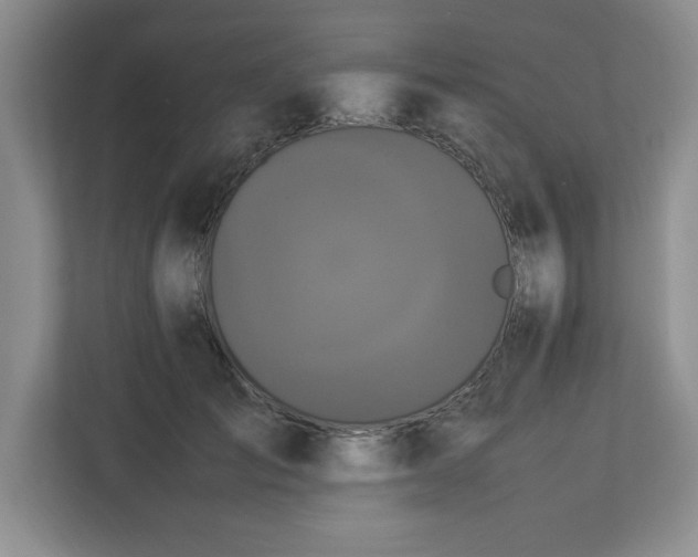 X0000113070701200909041058