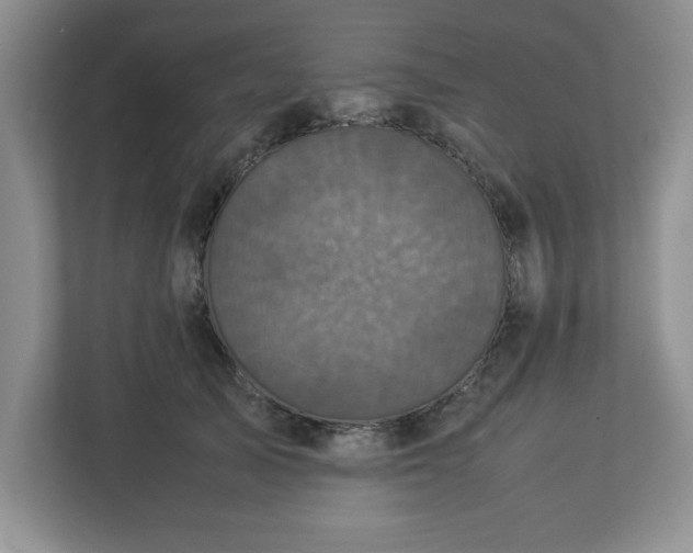 X0000113070705200909041058