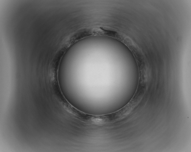 X0000113070706200909041058