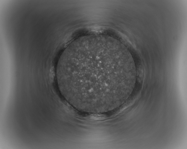 X0000113070707200909041058