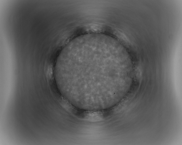 X0000113070709200909041058