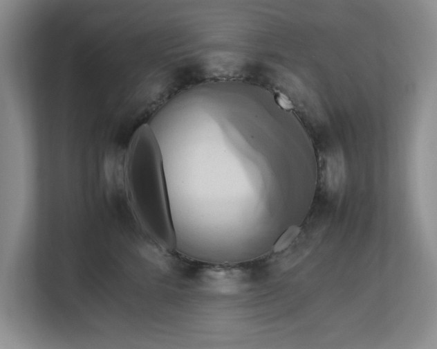 X0000113070712200909041058