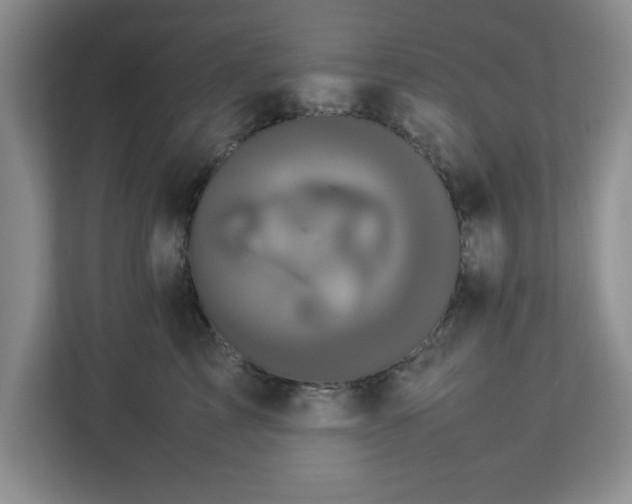 X0000113070713200909041058