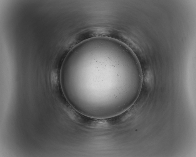 X0000113070715200909041058