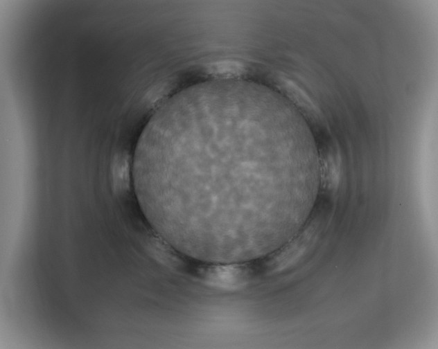 X0000113070717200909041058