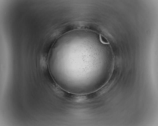 X0000113070719200909041058