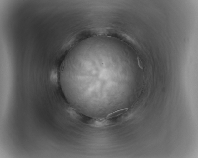 X0000113070720200909041058