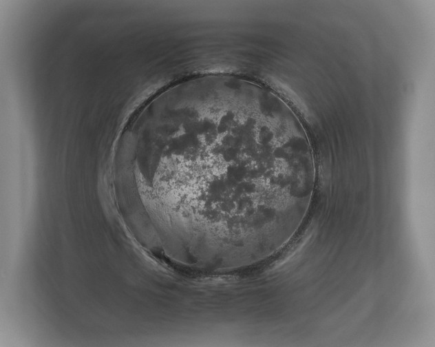 X0000113070721200909041057