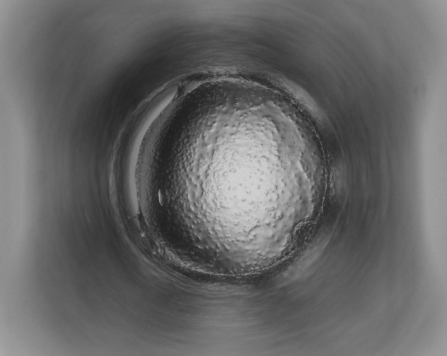 X0000113070722200909041057