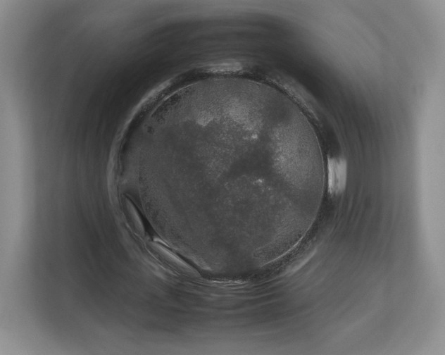 X0000113070723200909041057