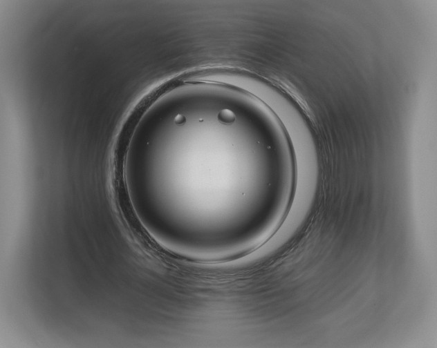 X0000113070724200909041057