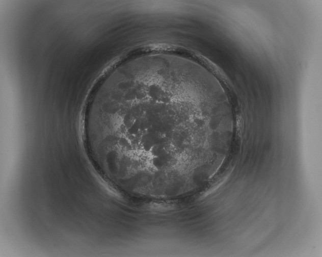 X0000113070725200909041057