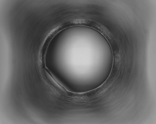 X0000113070727200909041057