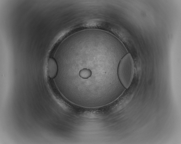 X0000113070728200909041057