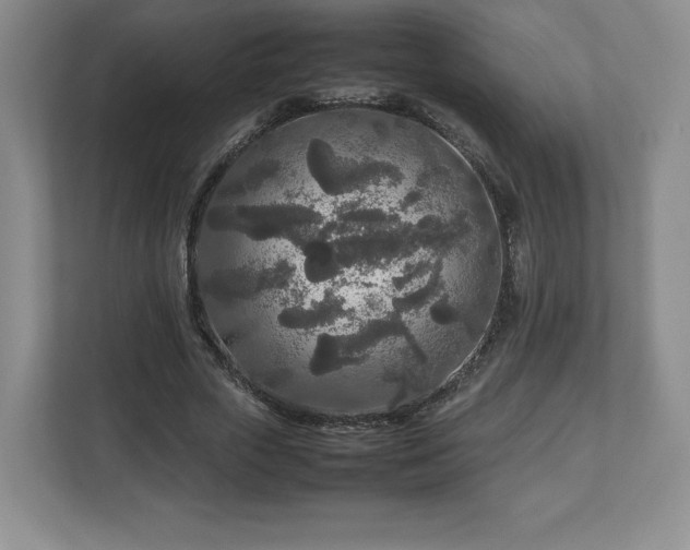 X0000113070729200909041057