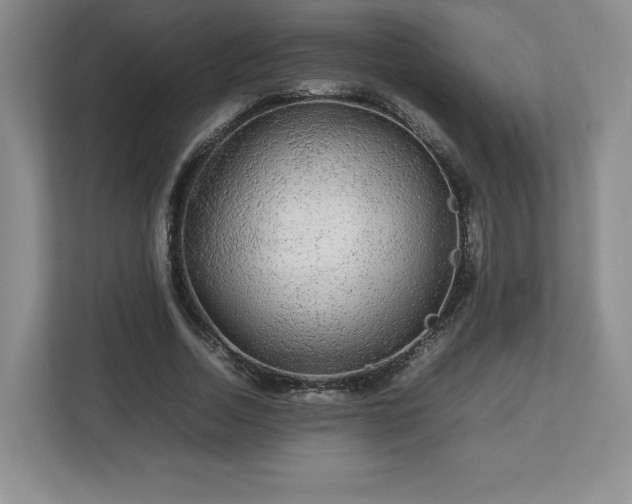 X0000113070730200909041057